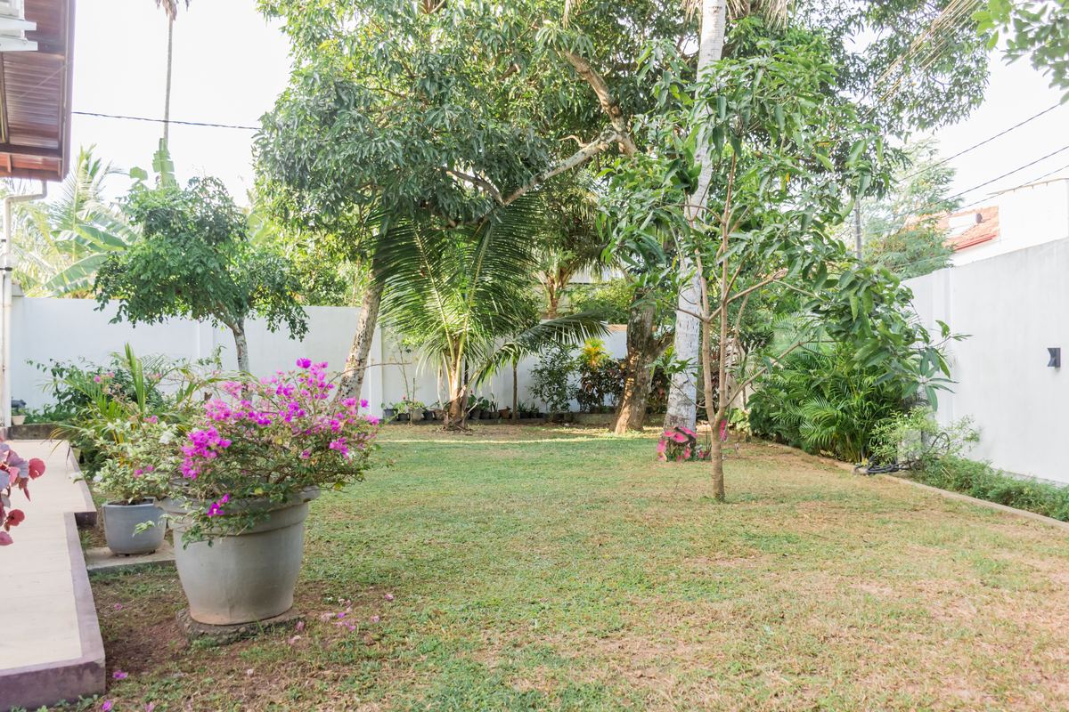 Villa garden